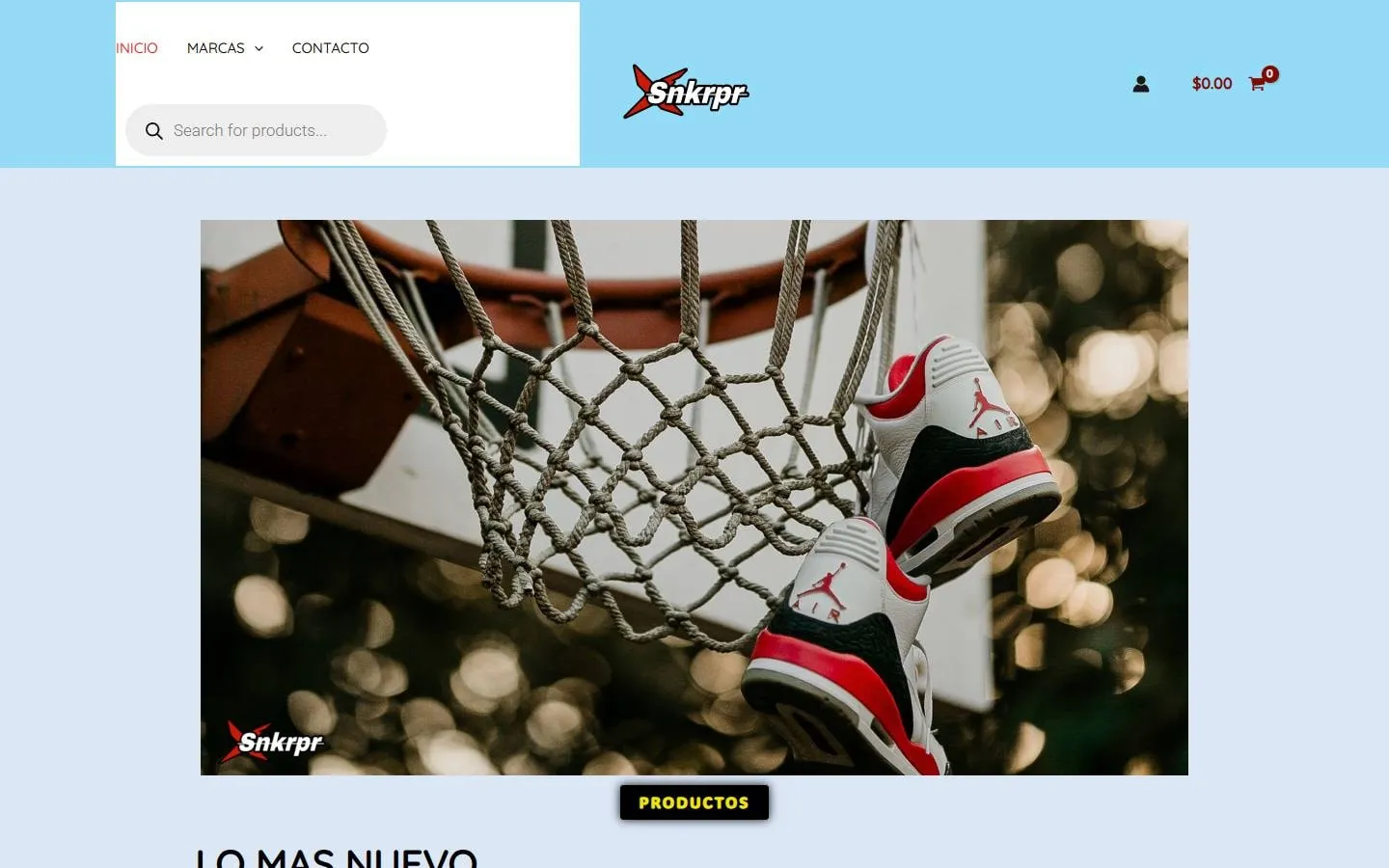 Snkrpr's previous website: a WordPress template on a light blue background